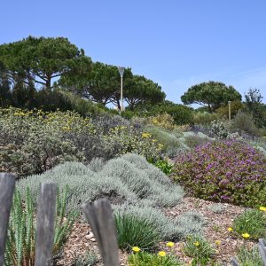 Camp du Domaine 009