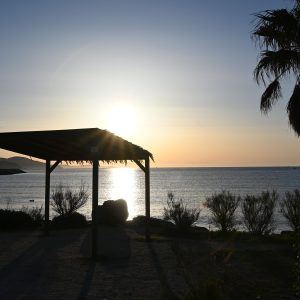 Camp du Domaine 016